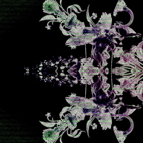 [␠ ﾒ 𝙎𝙏𝘼𝙏𝙄𝘾𝘾𝘼]－𝙂𝙧𝙖𝙘𝙚𝙨