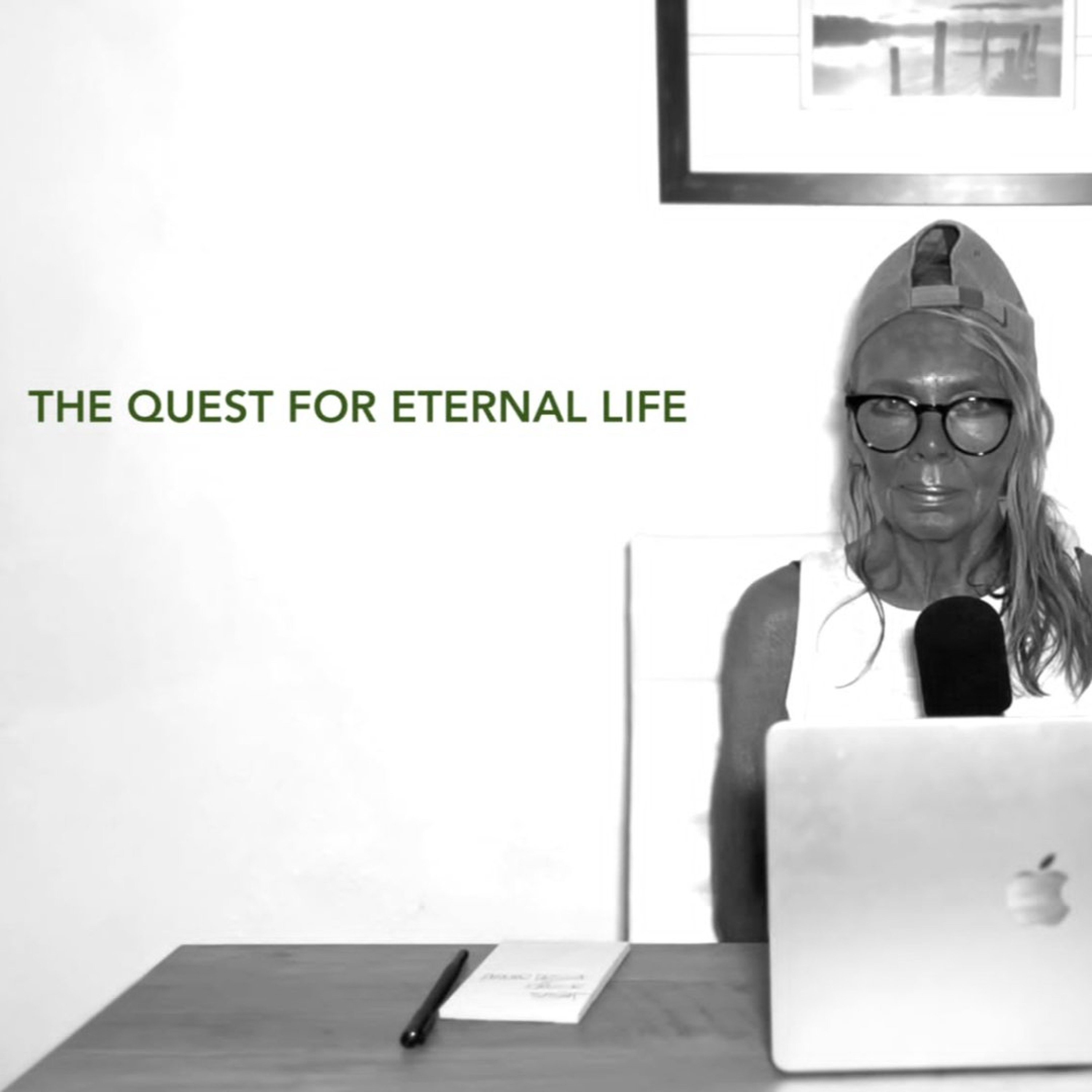 THE QUEST FOR ETERNAL LIFE episode artwork