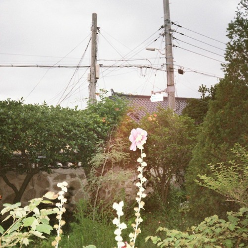 그대 떠난 뒤 210811