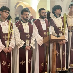 Evlgoimenos St Mark Hbg 2025 - ⲉⲩⲗⲟⲅⲓⲙⲉⲛⲟⲥ - احد افلوجيمينوس