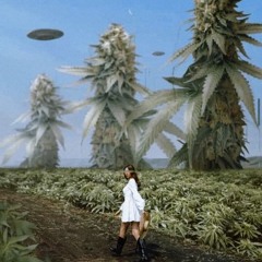 CANNABIS WORLD VOL 1 "AL RITMO DEL DOGGOR  " MIXED BY DJALEX