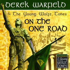 Dixie - Young Wolfe Tones cover