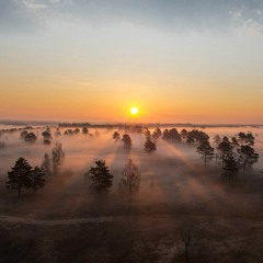 Story (Item for sale)https://audiojungle.net/item/background-nature-piano/27902621