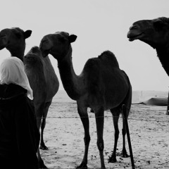 أنا على شانش أزعل حكومة قطر، عجمي و قلبي خبل لا بعتها بعتها ..