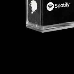 Moving Steady Freestyle