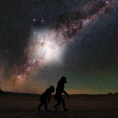 The Meiti Walk