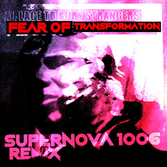 A Place To Bury Strangers - Fear of Transformation (SUPERNOVA 1006 Remix)