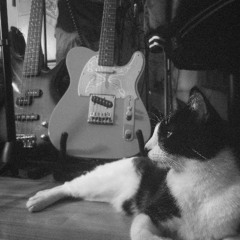 túsabesqueyoséquetúsabes