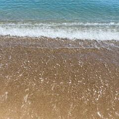 [무료비트] 여름으로 돌아가고 싶어지는 타입비트 "Summer Days" [FREE] Summer X Band Type Beat