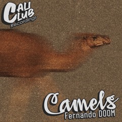 Fernando DOOM - Camels (Original Mix)