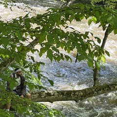 Josiah Ali - Tekkonkinkreet #BILAH #TAOMB