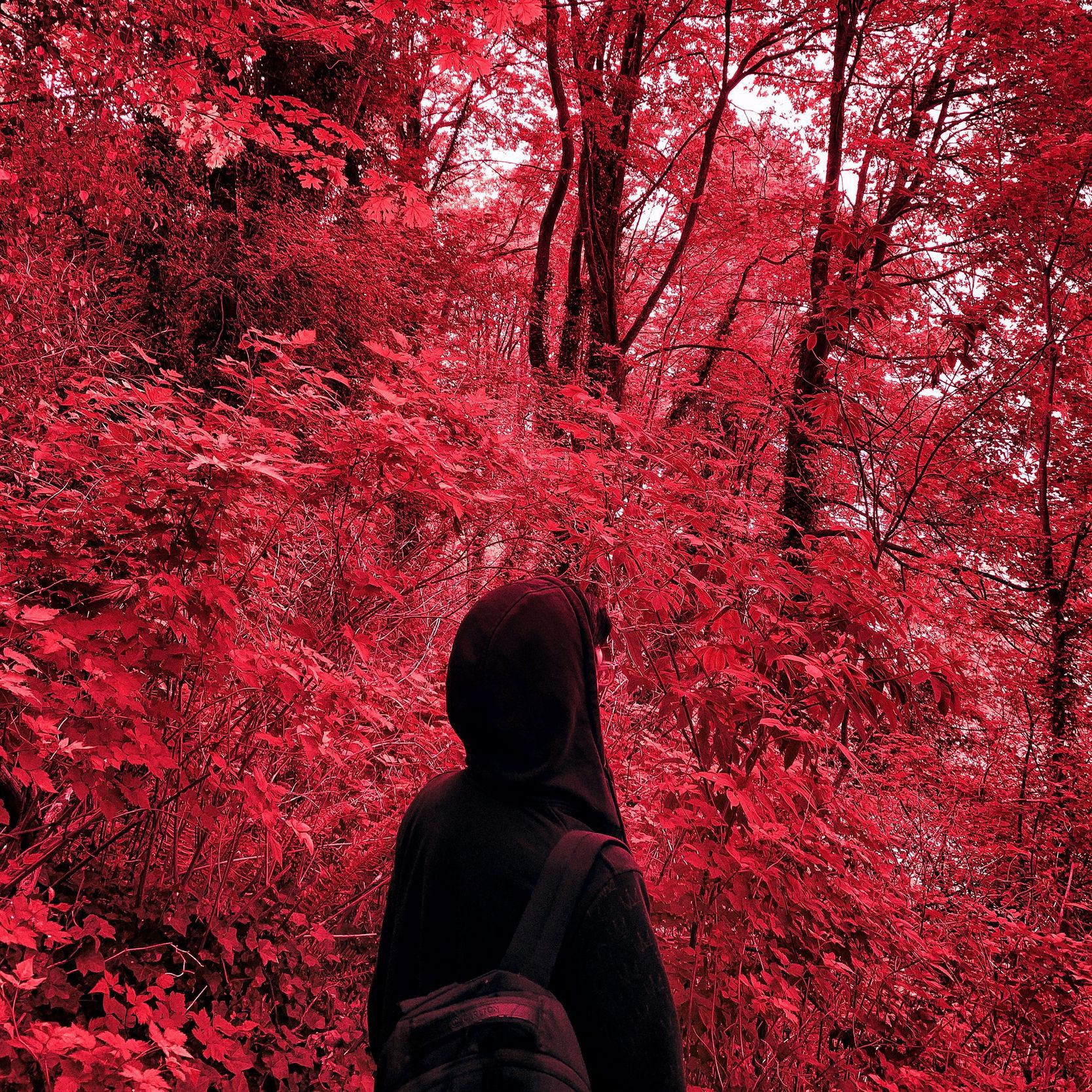 Everything Sucks -Vault boy (remix)