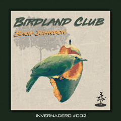 Birdland Club (Original Mix)