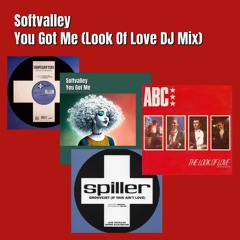 You Got Me (Look Of Love DJ Mix)
