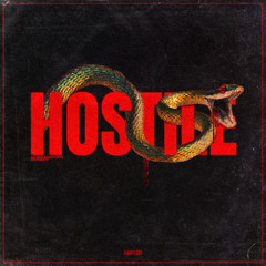 Rauw Vlees - HOSTILE