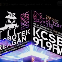 The Blacklight Special - Robotek Reagan