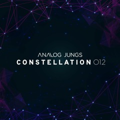 Analog Jungs @ Constellation 012