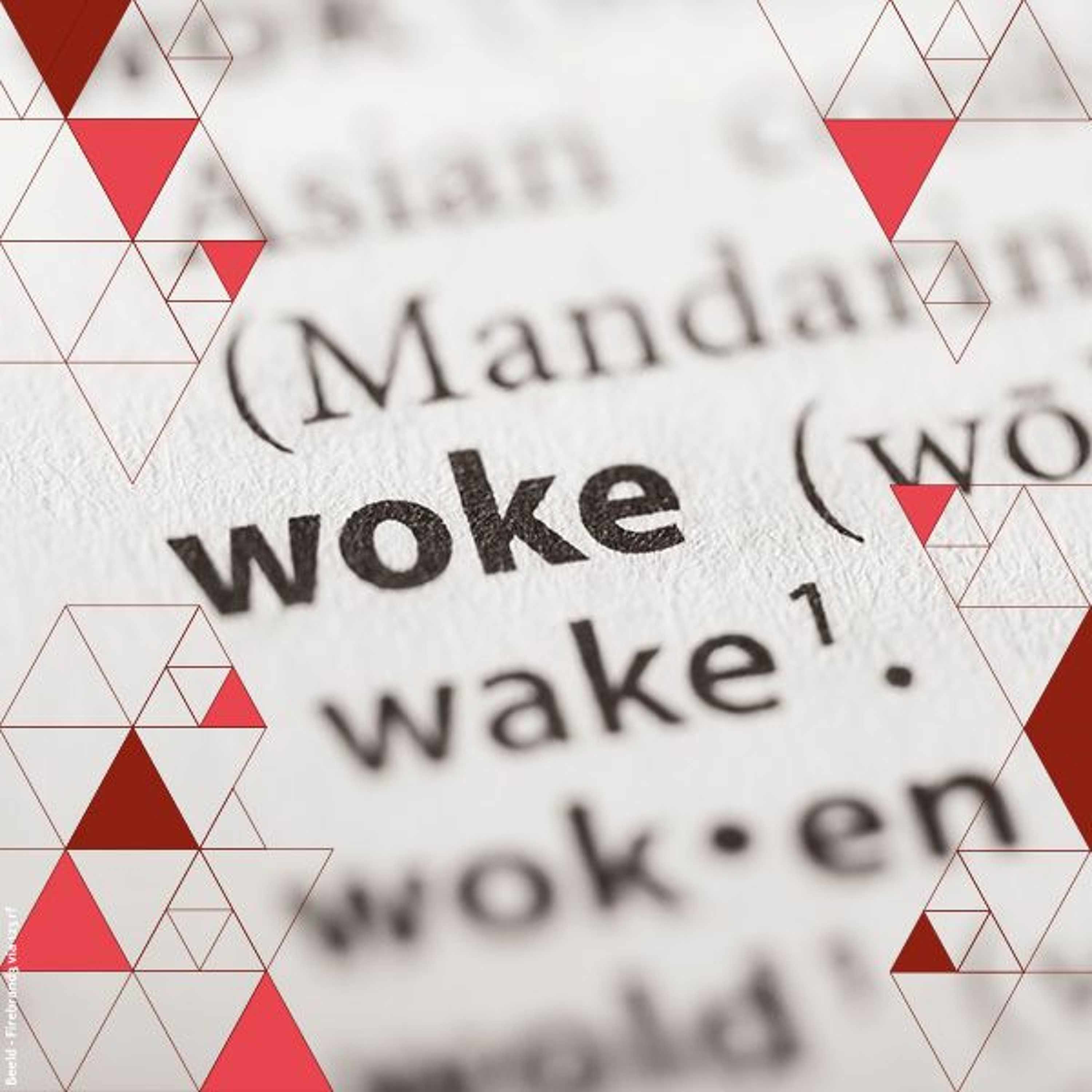 Left is Not Woke | Lecture and conversation by philosopher Susan Neiman episode artwork