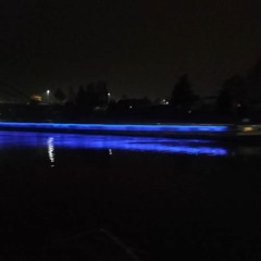 December Lights 12/22