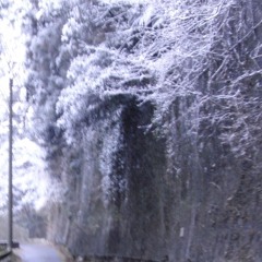 育てた季節 (demo 9).wav