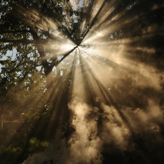 Toward the Light, Movement I, 'Foggy Afternoons'