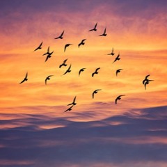 Lena's bird