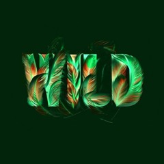 Live @WILD (Elfer Club Frankfurt) - 20.10.2023