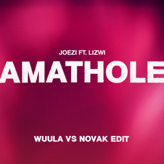 Amathole (WUULA vs Novak Edit) [FREE DOWNLOAD]