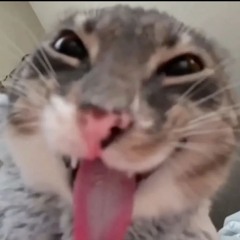 IT’S TIME - femtanyl (sped up 1.1x)