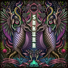 Cosmic Brahma - Samurai Jack (Preview)