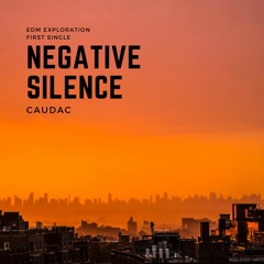 Negative Silence