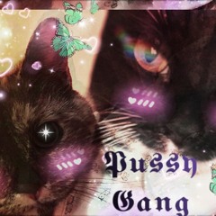 PUSSY GANG