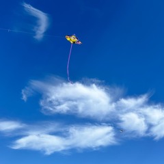 What's Important Now