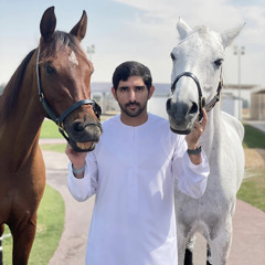 ميحد حمد - امير القلب