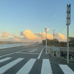 She died under the bridge / MotitaSaki in the pool