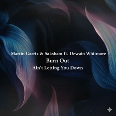 Ain't Letting You Down & Burn Out (ThanhTien edit)