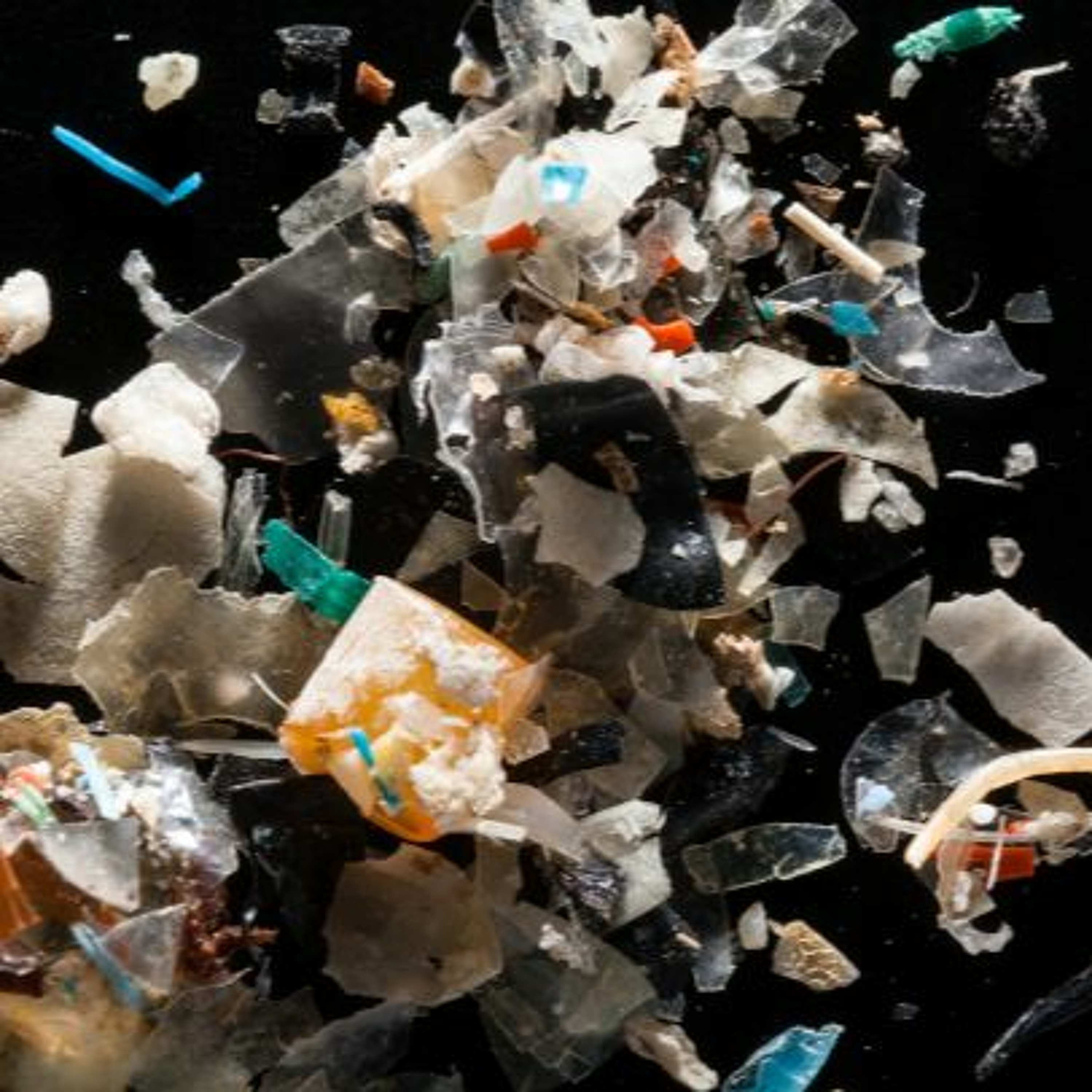 Microplastics – A Poison Like No Other, Nat’l Audubon Keeps Enslaver’s Name and more episode artwork
