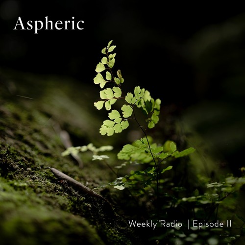 Aspheric Weekly Radio | Episode II