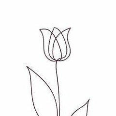 tulip