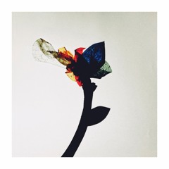 안정아 - 꽃이 먼저 알아 (One Spring Day)