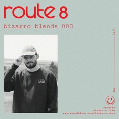Bizarro Blends 003 // Route 8
