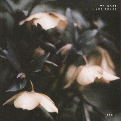 Premiere: Luis Leon - Understanding of Re [Nie Wieder Schlafen]