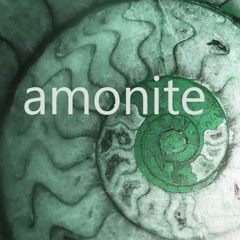 Amonite
