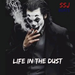 Life in the Dust