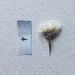 Us In The Garden - THE PROJECT