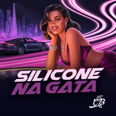 Silicone na Gata
