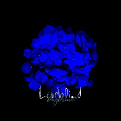 Loveblind / Daydream