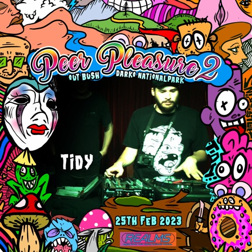Tidy @ Peer Pleasure 2 - 25/2/23