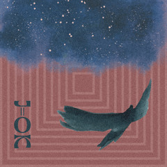 J-OK - Pidgeons