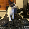 Hard House/Trance/Speed Garage Mix (Malugi, Kyle Starkey, Kara Okay, Club Angel, Odymel, Narciss) DJ mix artwork - Electronic music tracklist cover image